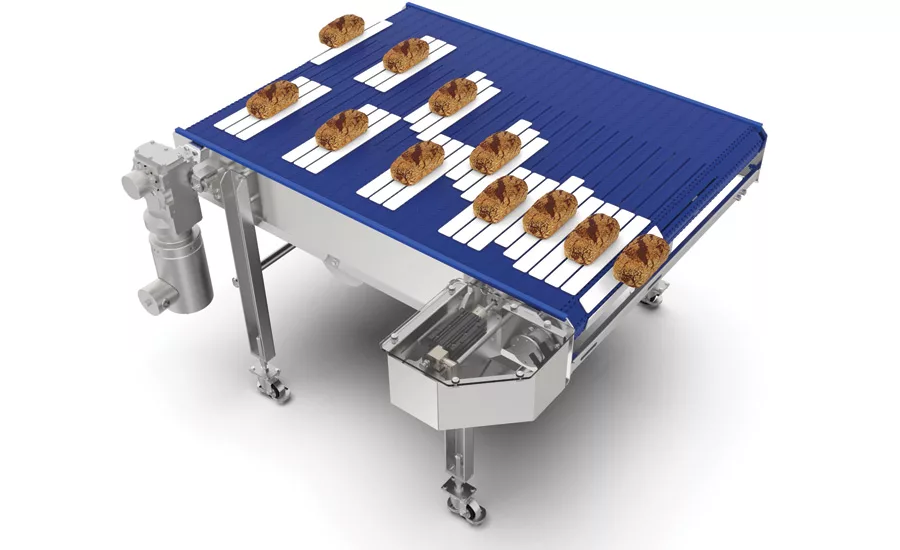 Plastic Chain Conveyor