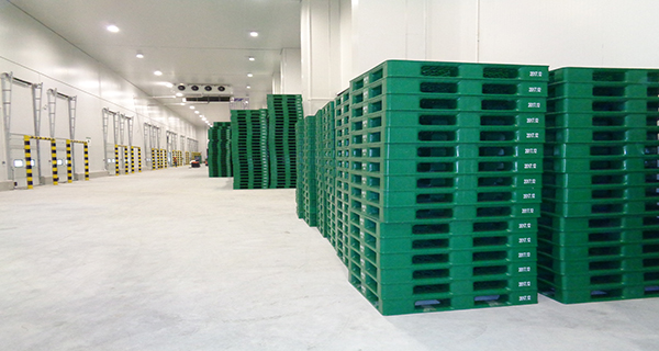 Những điều nên biết khi sử dụng pallet trong kho